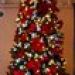 Christmas Tree with Lights on